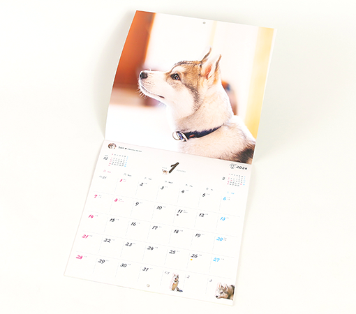 オレンジページ 2024年度版犬カレンダー発売!【おでか犬】DOG EVENT CLUB オレンジページ 2024年度版犬カレンダー発売!【おでか犬】DOG EVENT CLUB