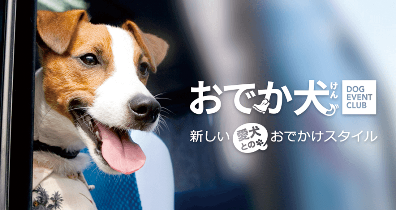 岡重 セオアルファ 犬-