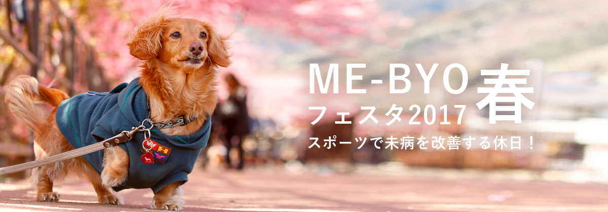 ME-BYOフェスタ2017春